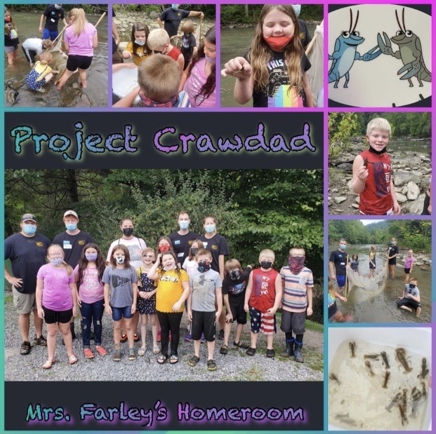 students catching crawfish