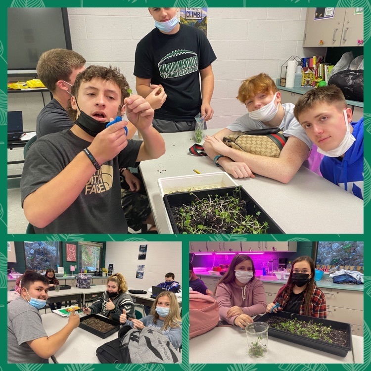 students in horticulture class