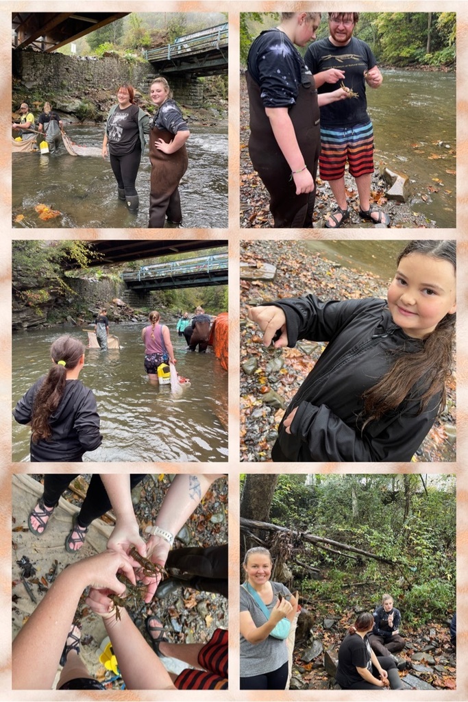 Photo collage