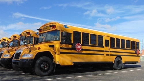 bus